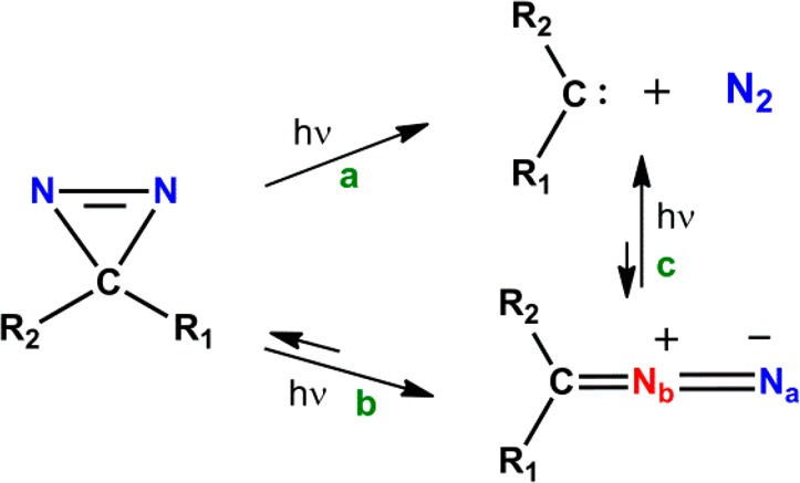 Scheme 1