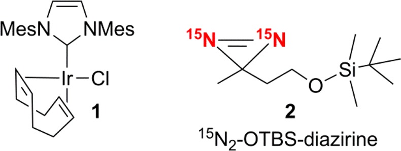 Scheme 3