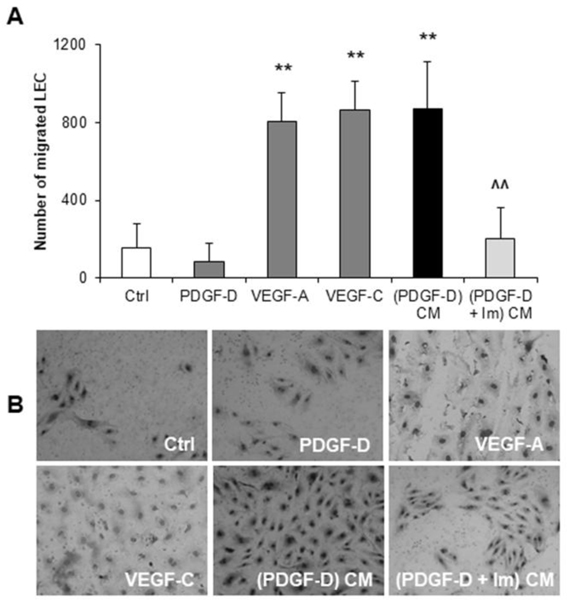 Fig.4: