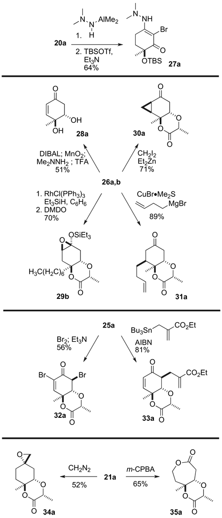 Scheme 7