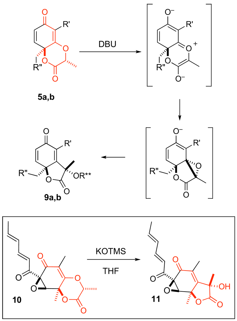 Scheme 3