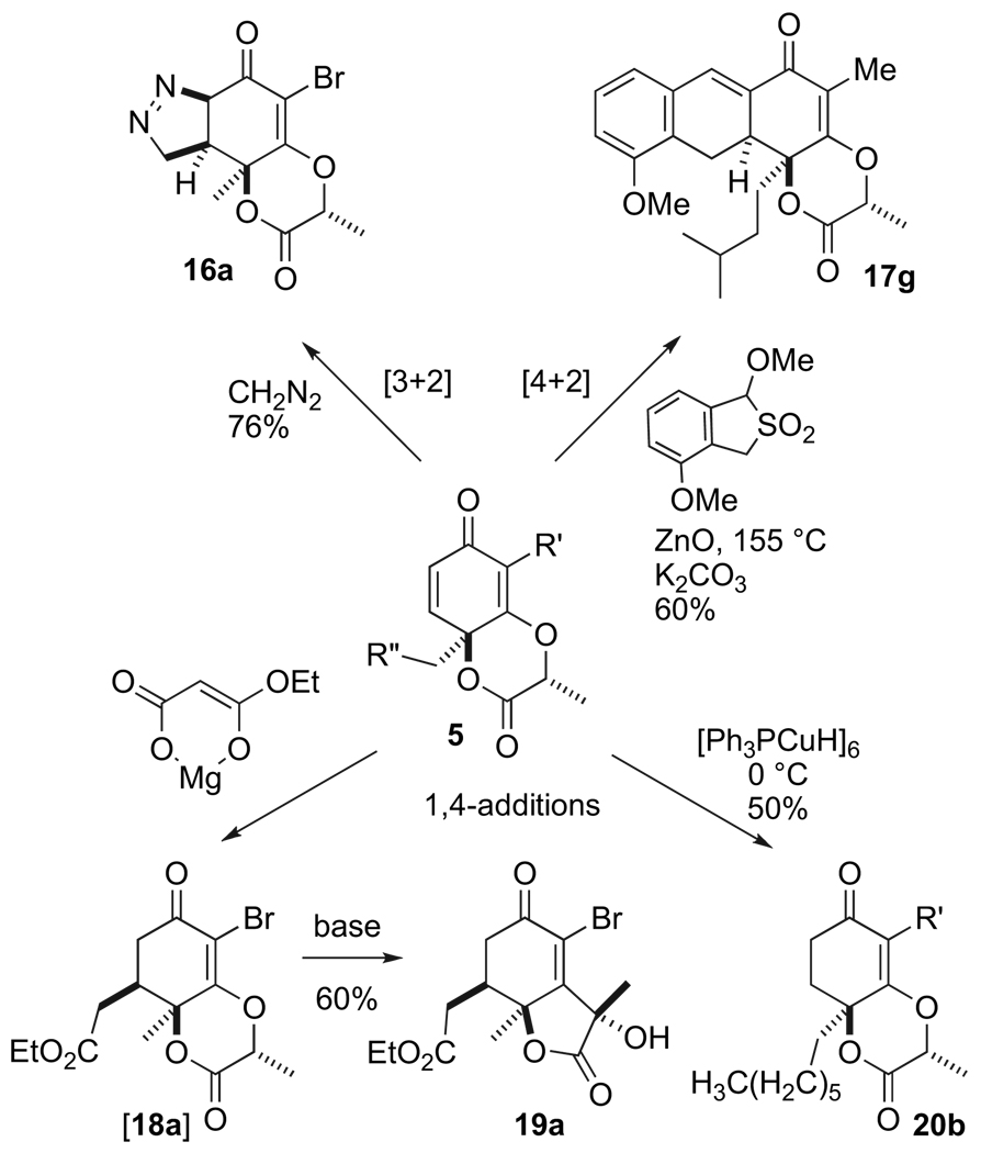 Scheme 5