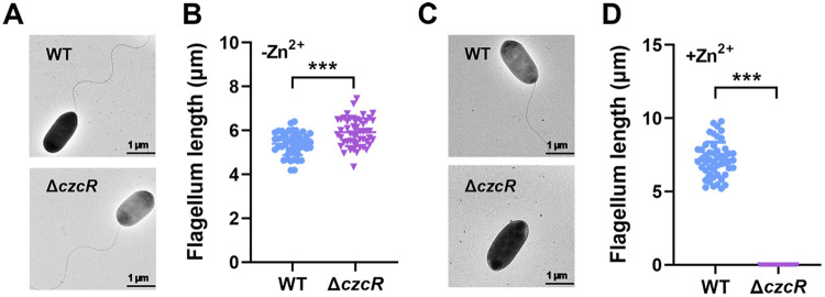 FIG 3