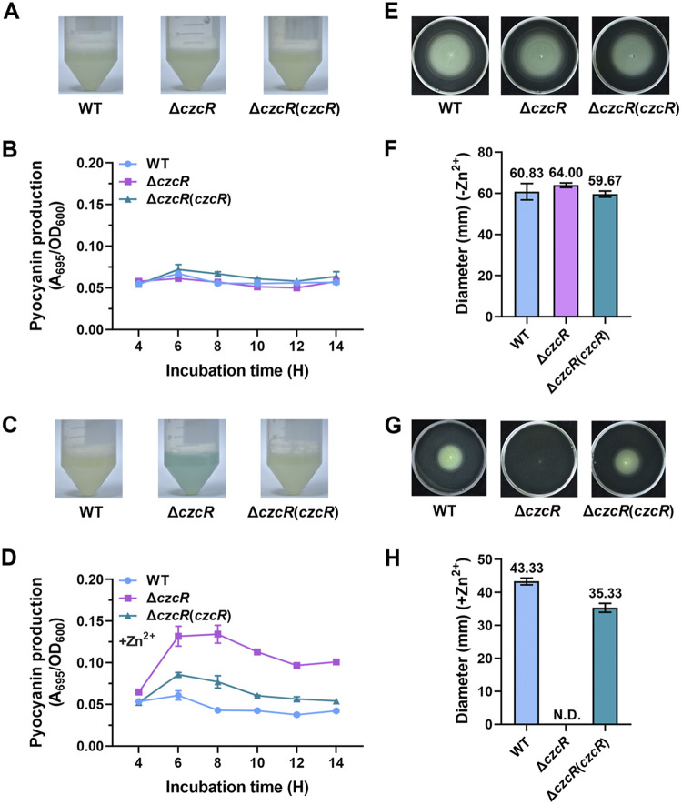 FIG 1