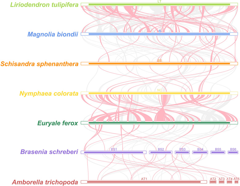 Fig. 10