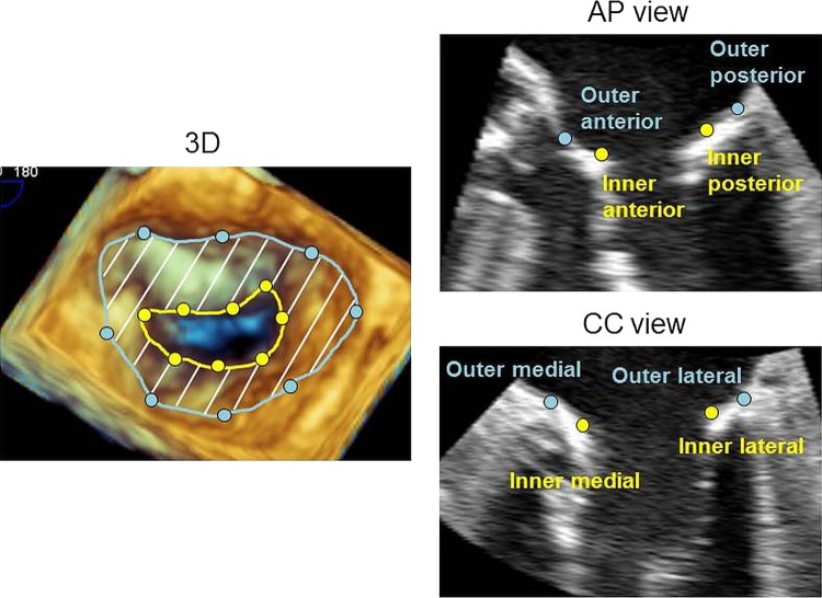 Figure 2