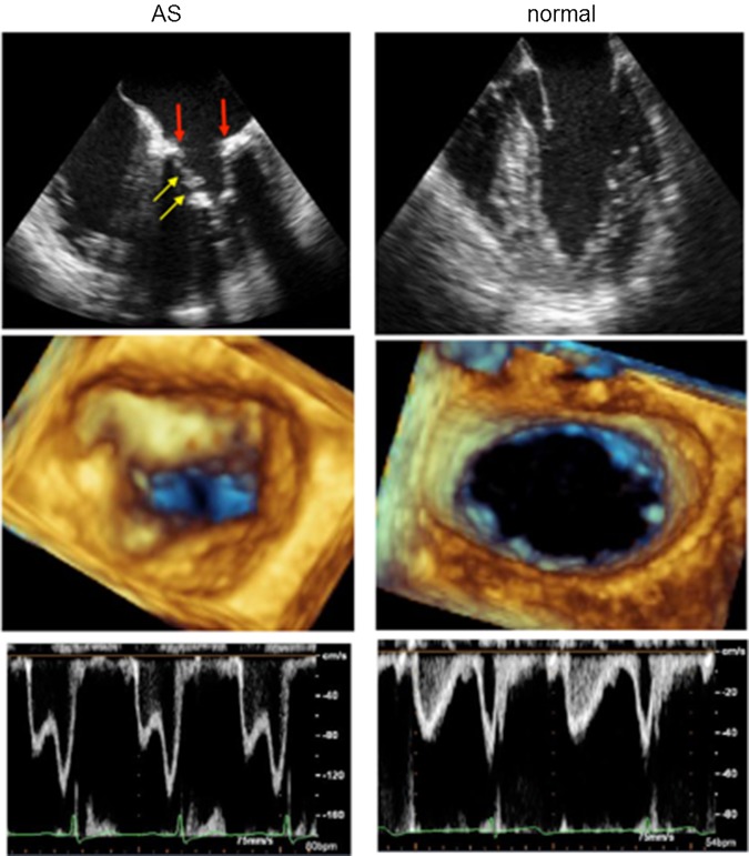 Figure 1