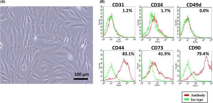 FIGURE 6