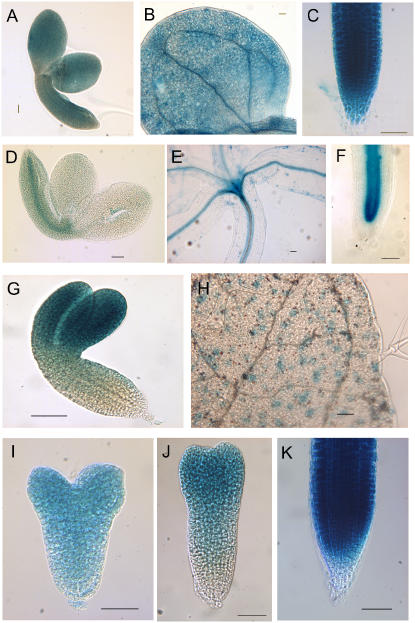 Figure 9.