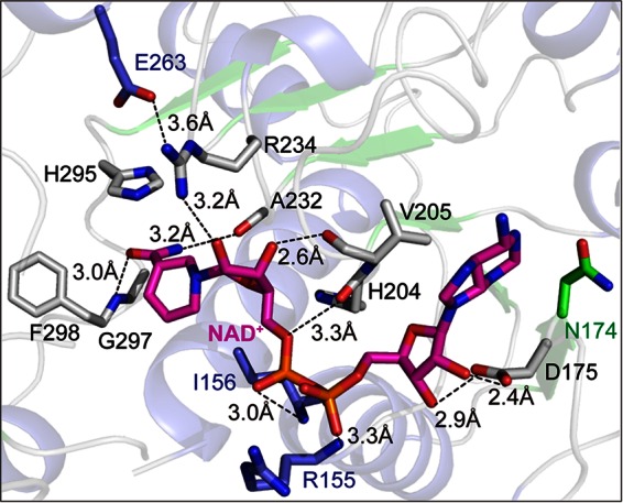 FIG 3