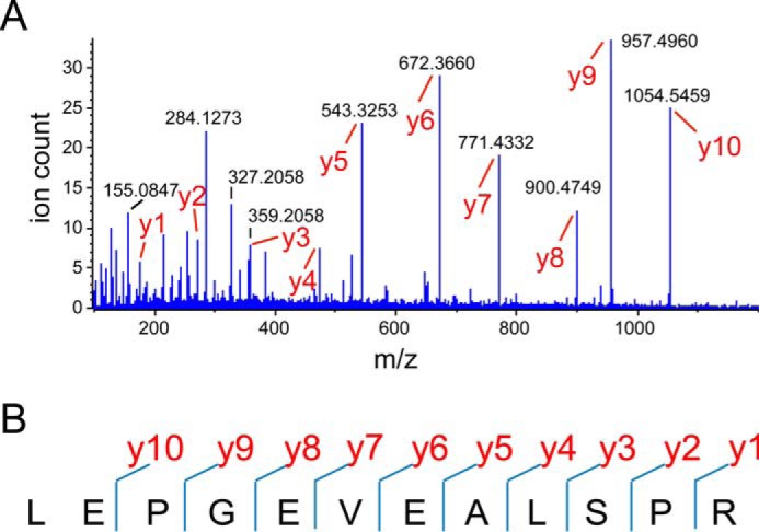 FIGURE 4.