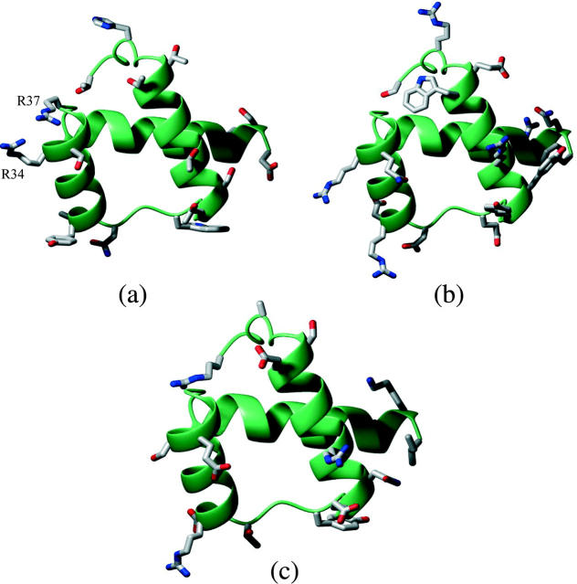 FIGURE 11