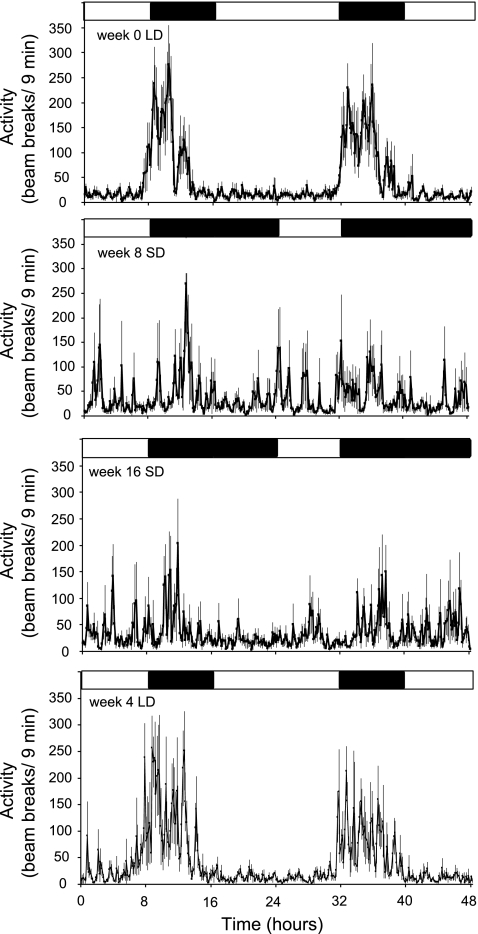 Fig. 2.