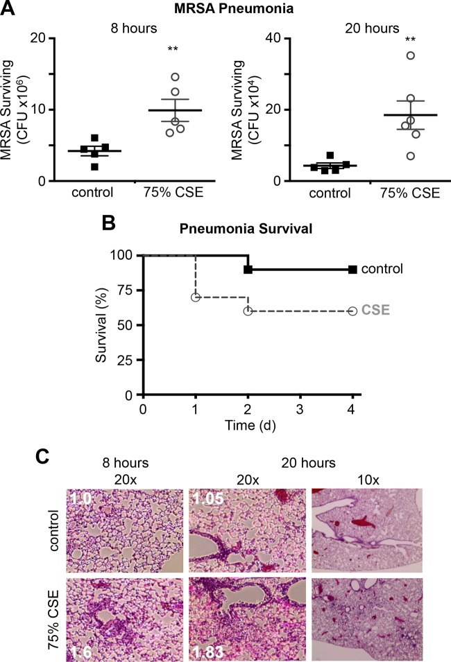 FIG 4