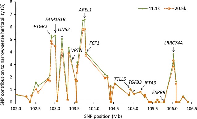 Fig. 5