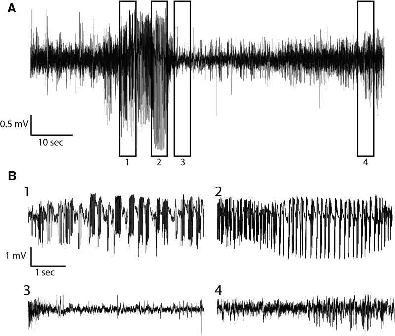 Figure 6.