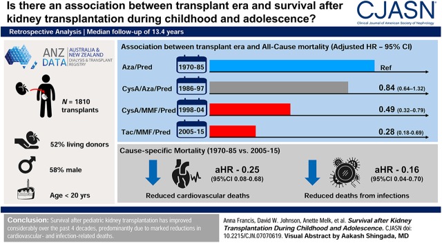 graphic file with name CJN.07070619absf1.jpg