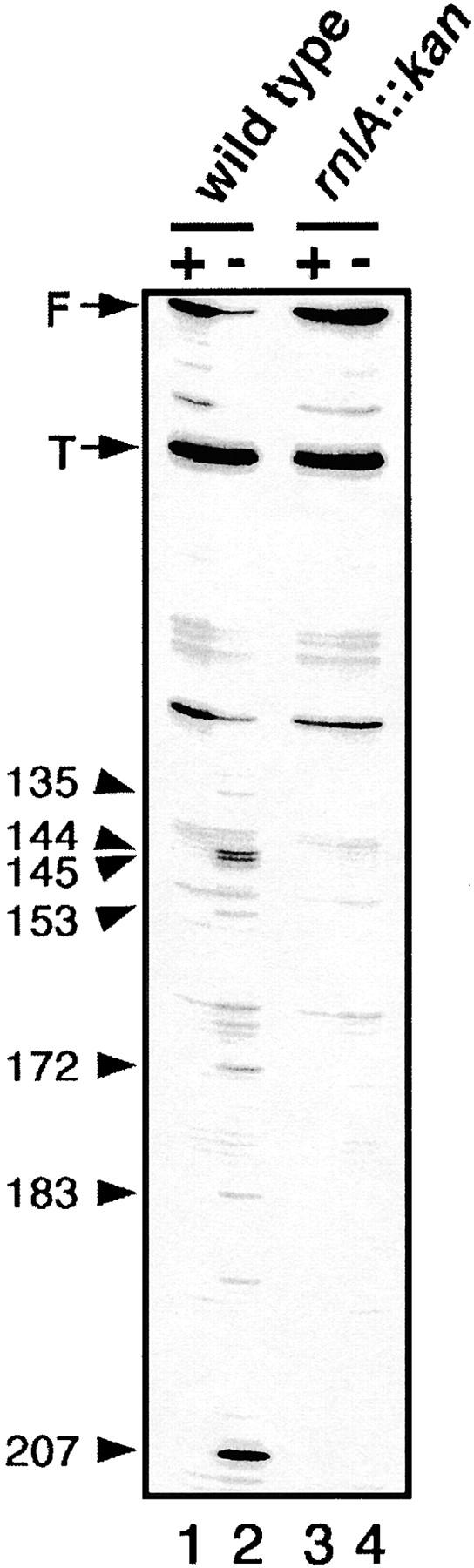 Figure 2.—