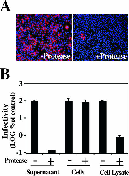 FIG. 4.