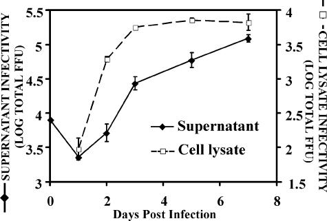 FIG. 5.