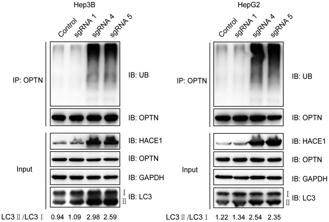 Figure 5.