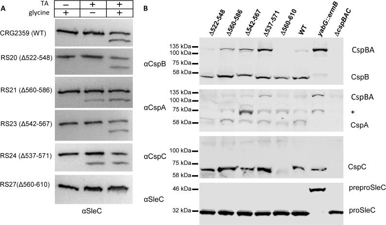 Fig 5