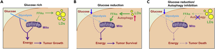 Figure 6