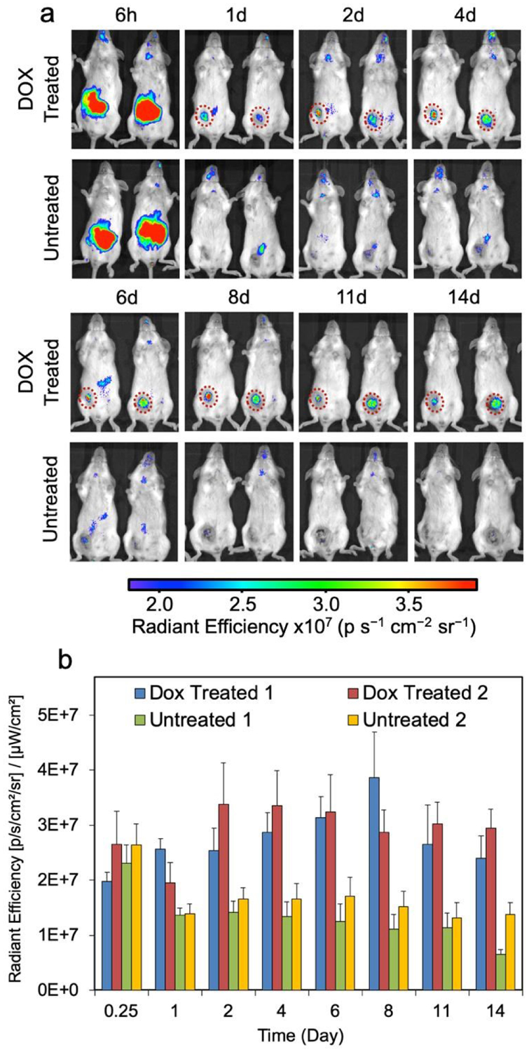 Fig. 8