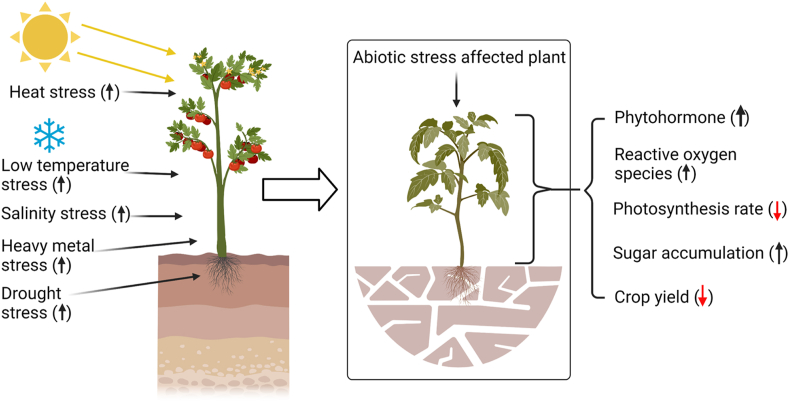 Figure 3