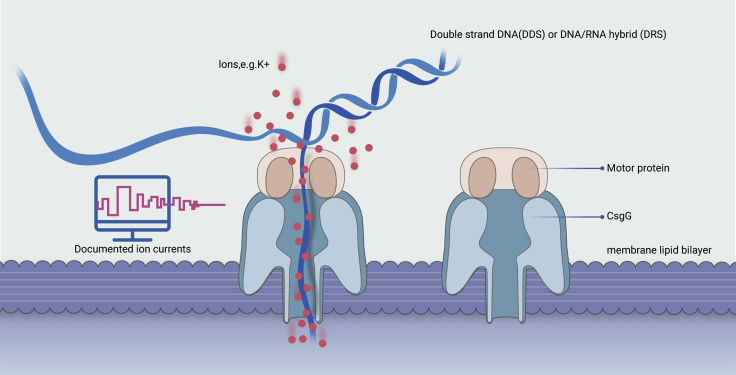 Figure 1