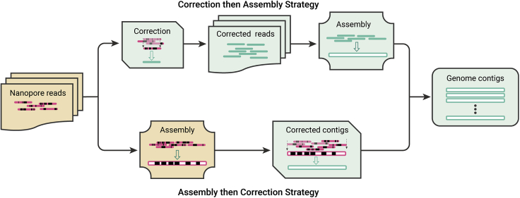 Figure 2