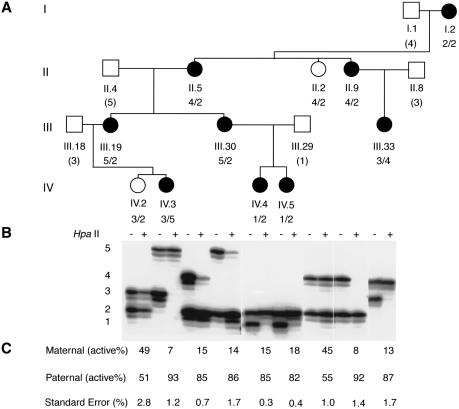 Figure  2