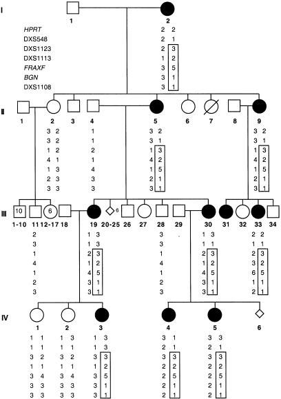 Figure  1