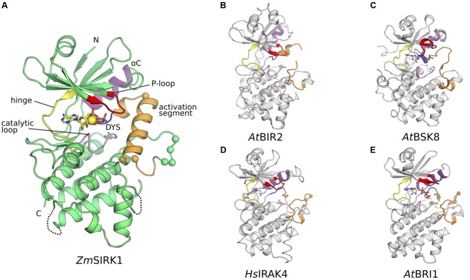 FIGURE 2