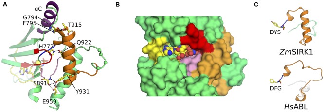 FIGURE 3