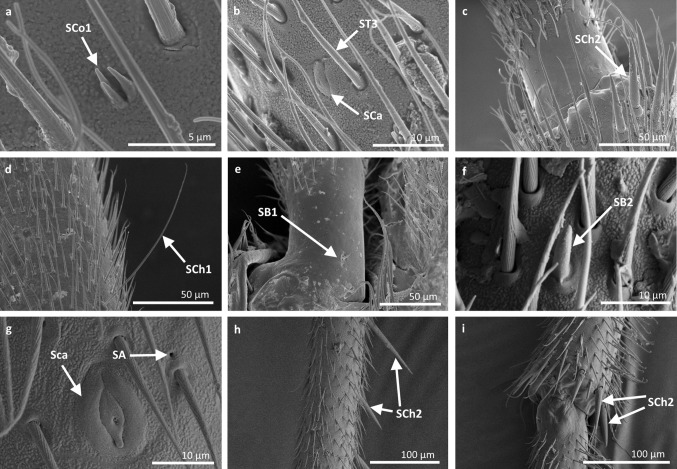 Fig. 15