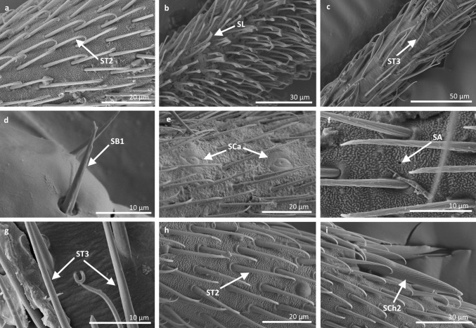 Fig. 12