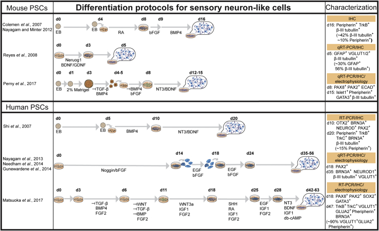 Figure 4