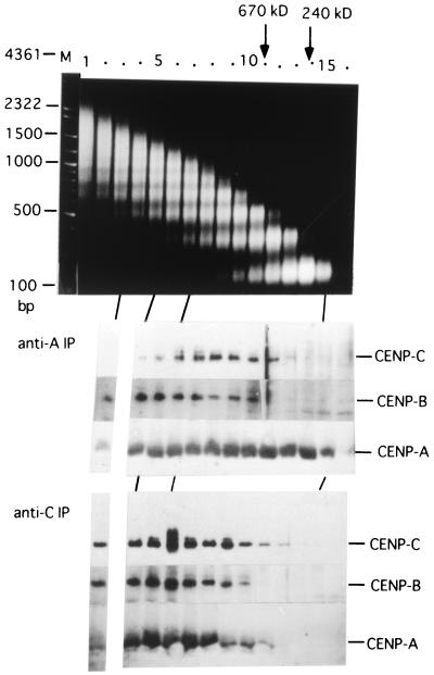 FIG. 5.