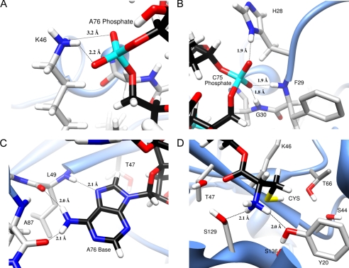 FIGURE 3.