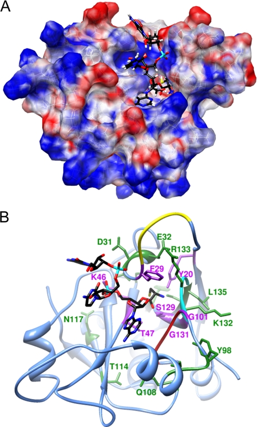 FIGURE 2.