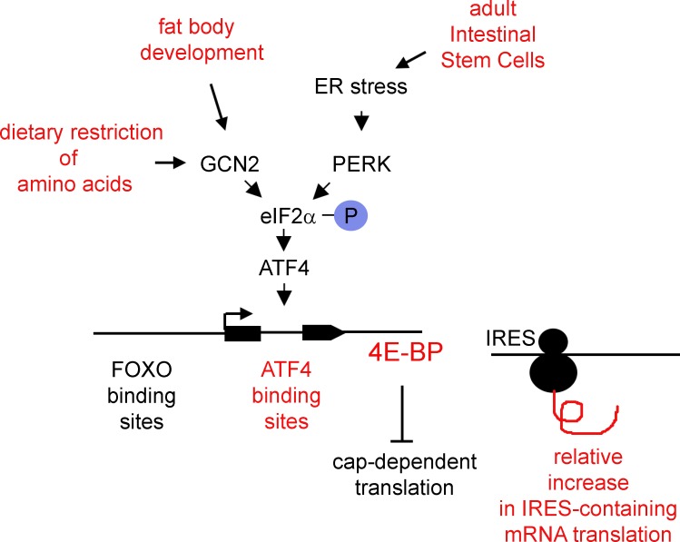 Figure 9.