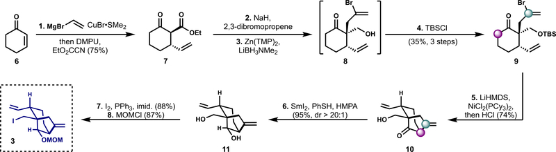 Scheme 1.