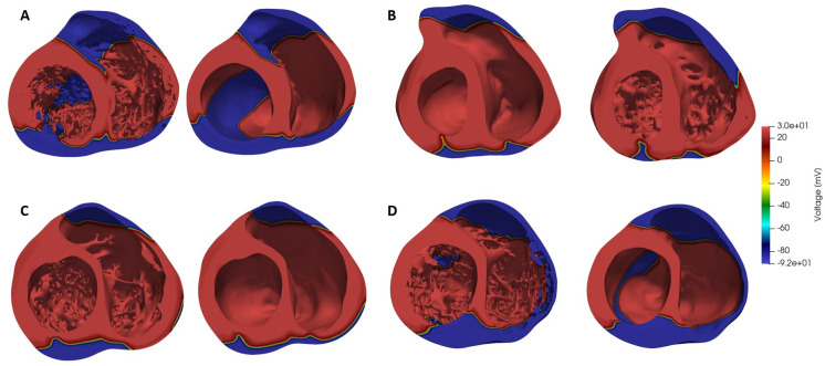 Fig 5