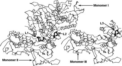 Fig. 1