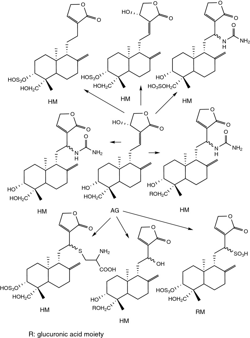 Fig. 2