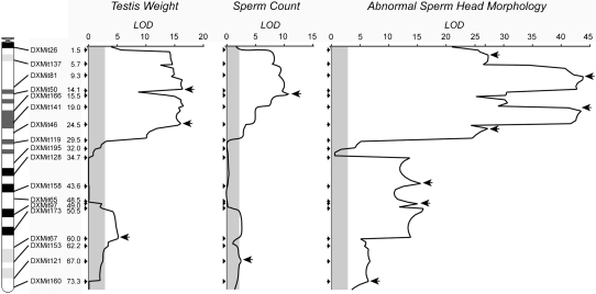 Figure 5.—