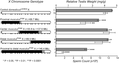 Figure 3.—