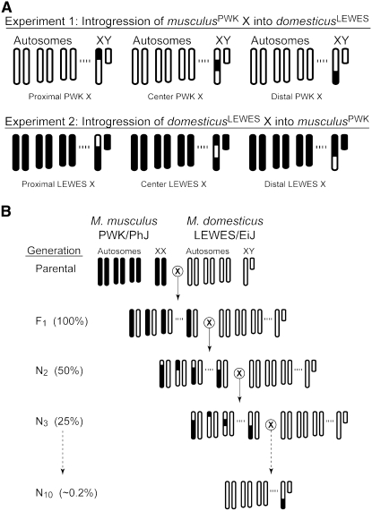 Figure 1.—