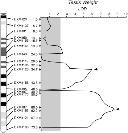 Figure 6.—